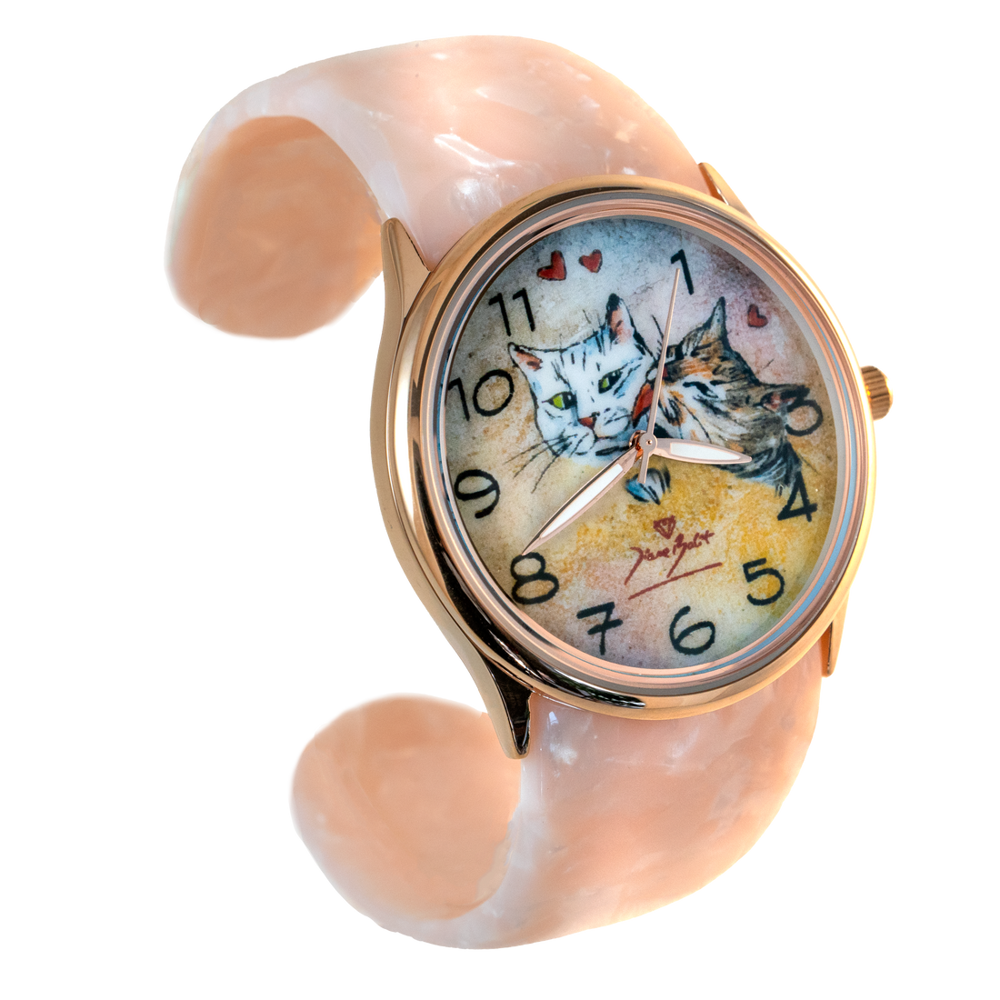 Montre femme fashion bracelet acrylique | DEUX CHATS AMOUREUX